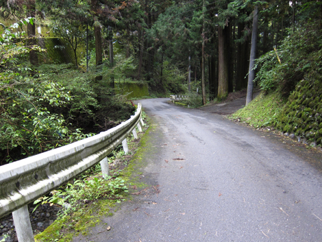 20191031hike (373)